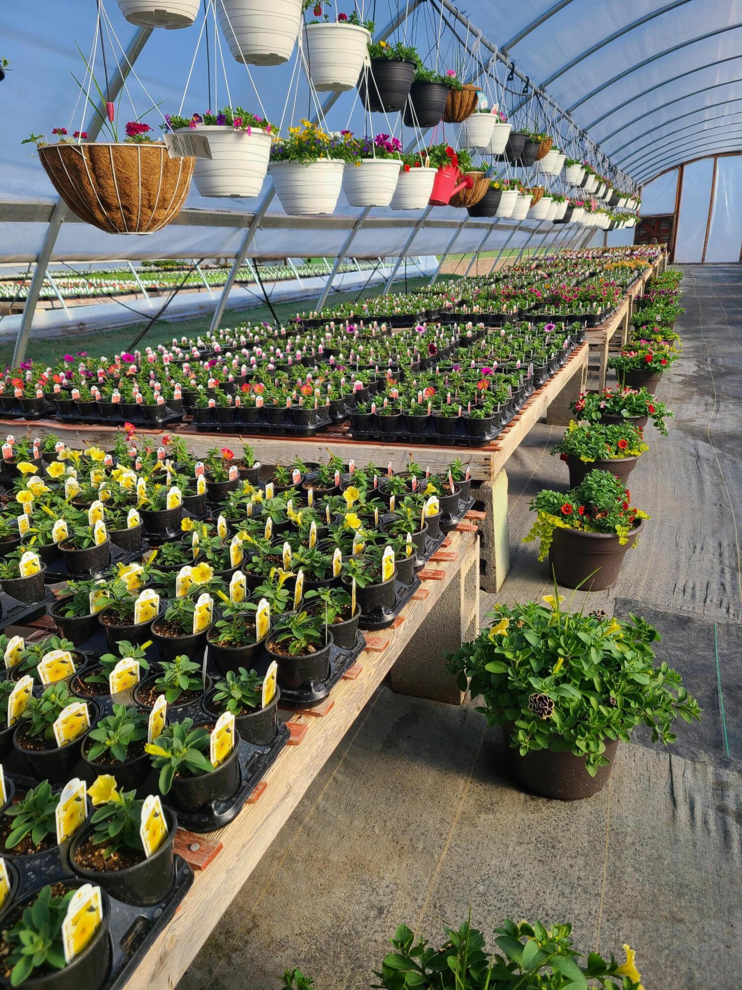 645 South Meridian Road Hudson, MI 49247 - Photo 49 of 67 20230414_085754