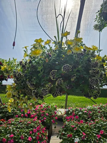 $500,000 | 645 South Meridian Road, Hudson, MI 49247