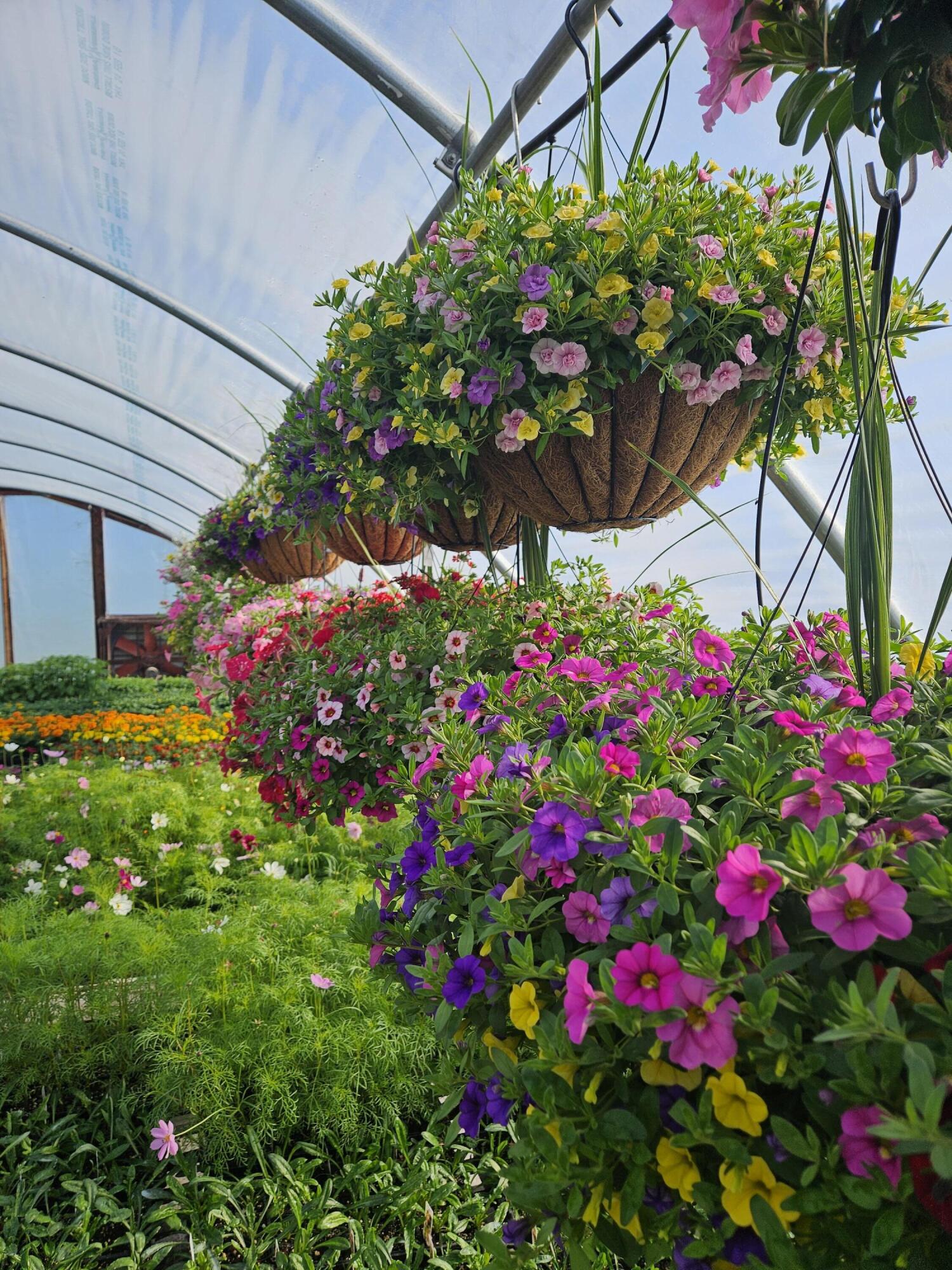 645 South Meridian Road Hudson, MI 49247 - Photo 52 of 67 20240508_092017