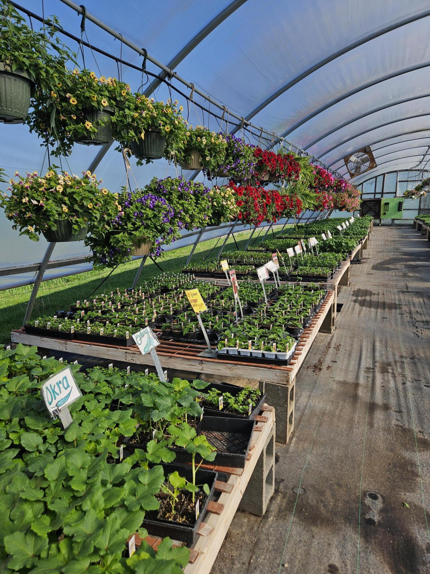 645 South Meridian Road Hudson, MI 49247 - Photo 53 of 67 20240508_092258