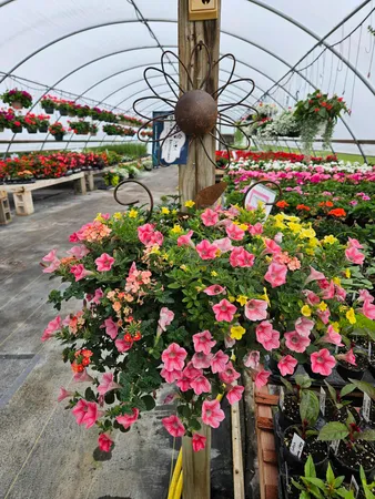 $500,000 | 645 South Meridian Road, Hudson, MI 49247