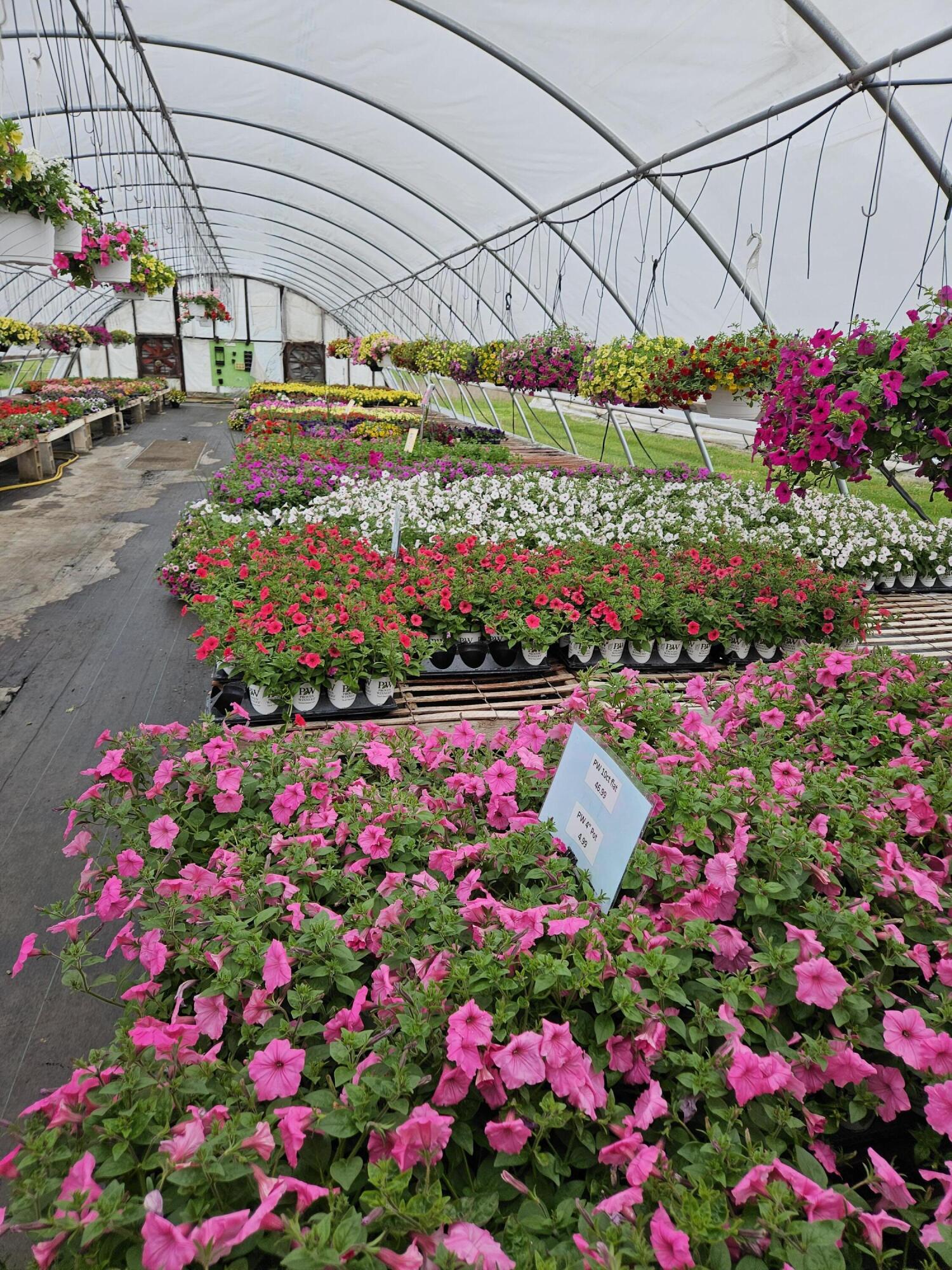 645 South Meridian Road Hudson, MI 49247 - Photo 55 of 67 20240515_120307