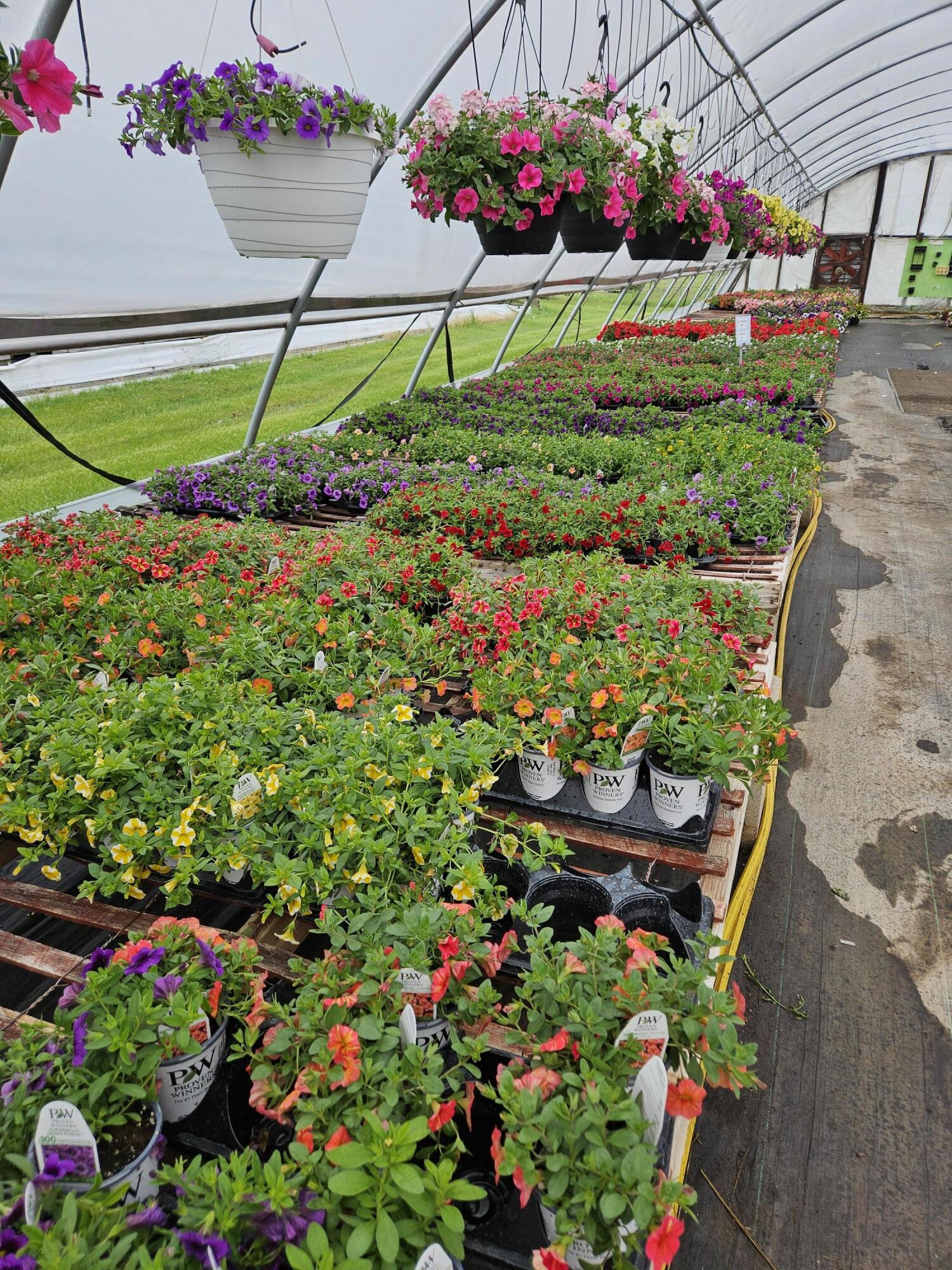 645 South Meridian Road Hudson, MI 49247 - Photo 56 of 67 20240515_120314