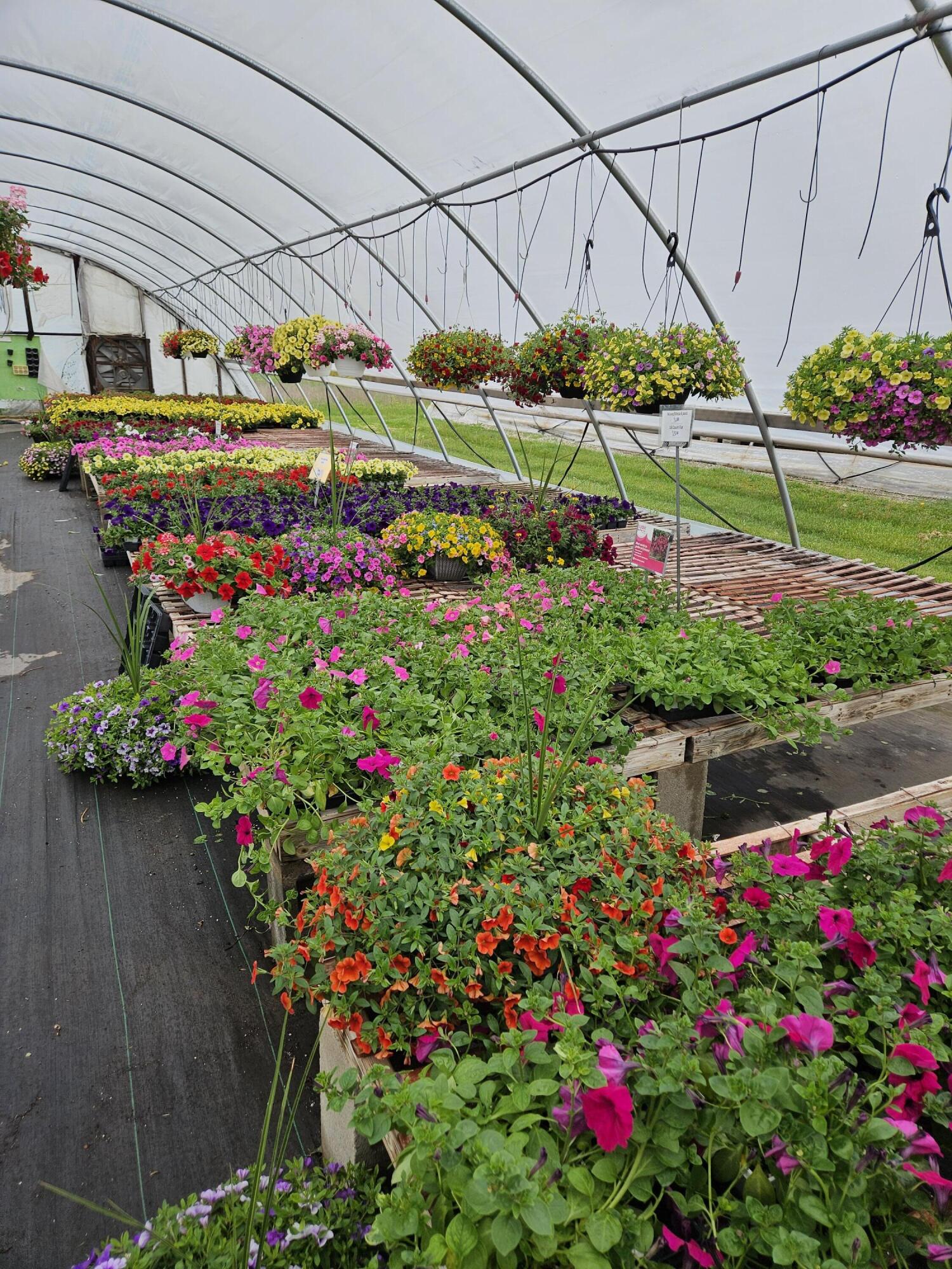 645 South Meridian Road Hudson, MI 49247 - Photo 57 of 67 20240515_120322