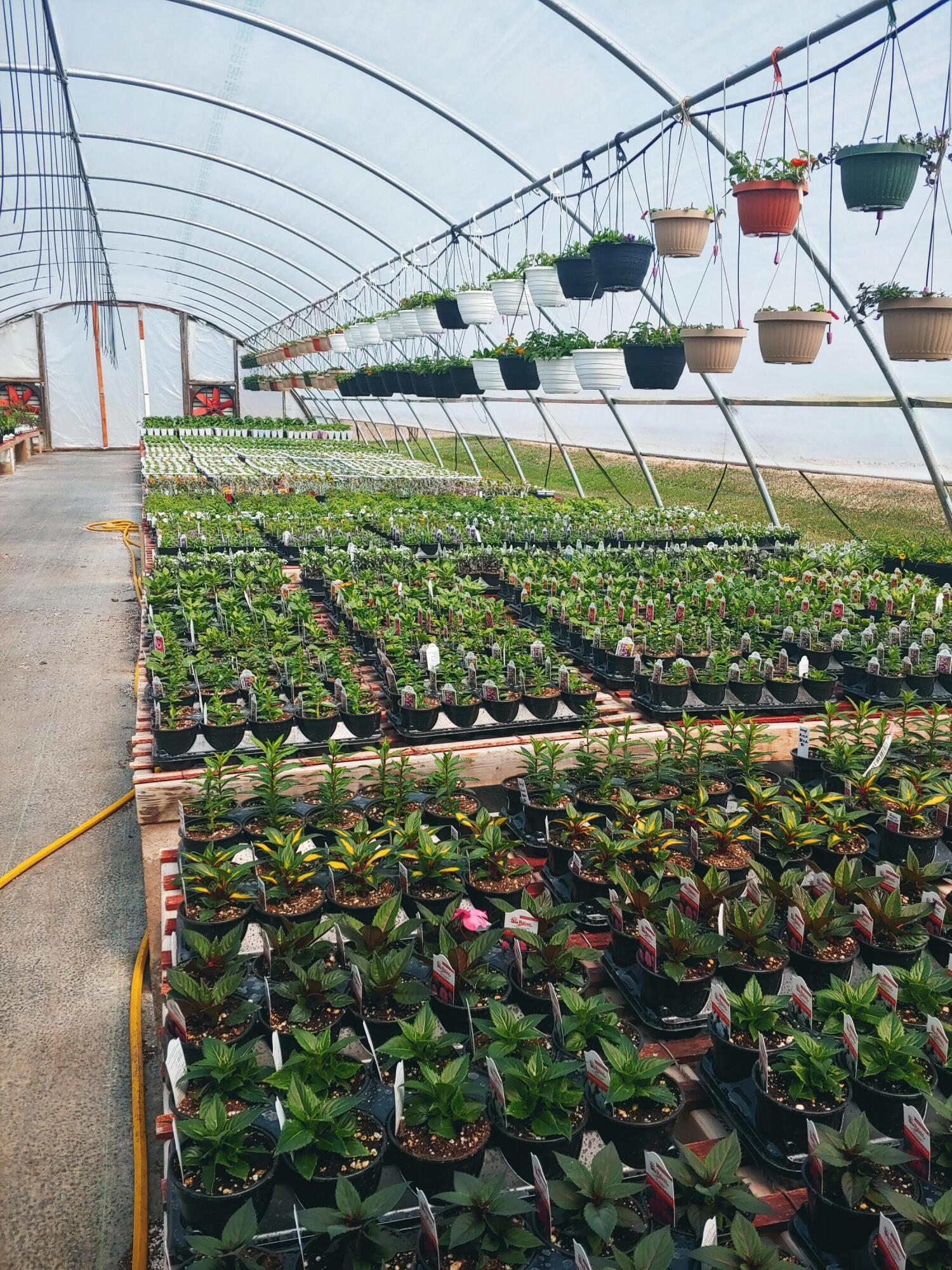 645 South Meridian Road Hudson, MI 49247 - Photo 59 of 67 0409241251