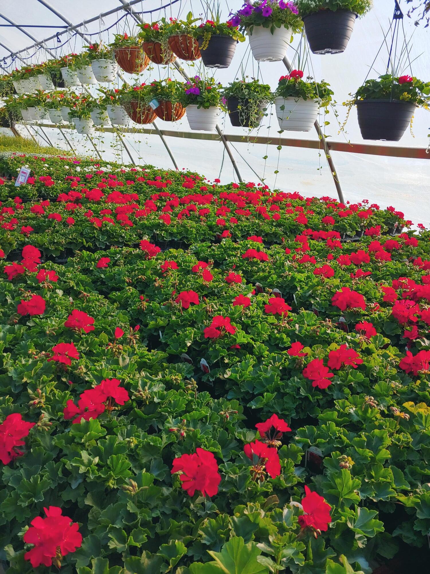 645 South Meridian Road Hudson, MI 49247 - Photo 61 of 67 0427230837c_HDR