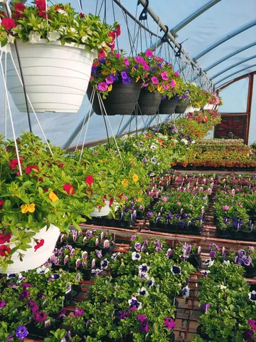 $500,000 | 645 South Meridian Road, Hudson, MI 49247