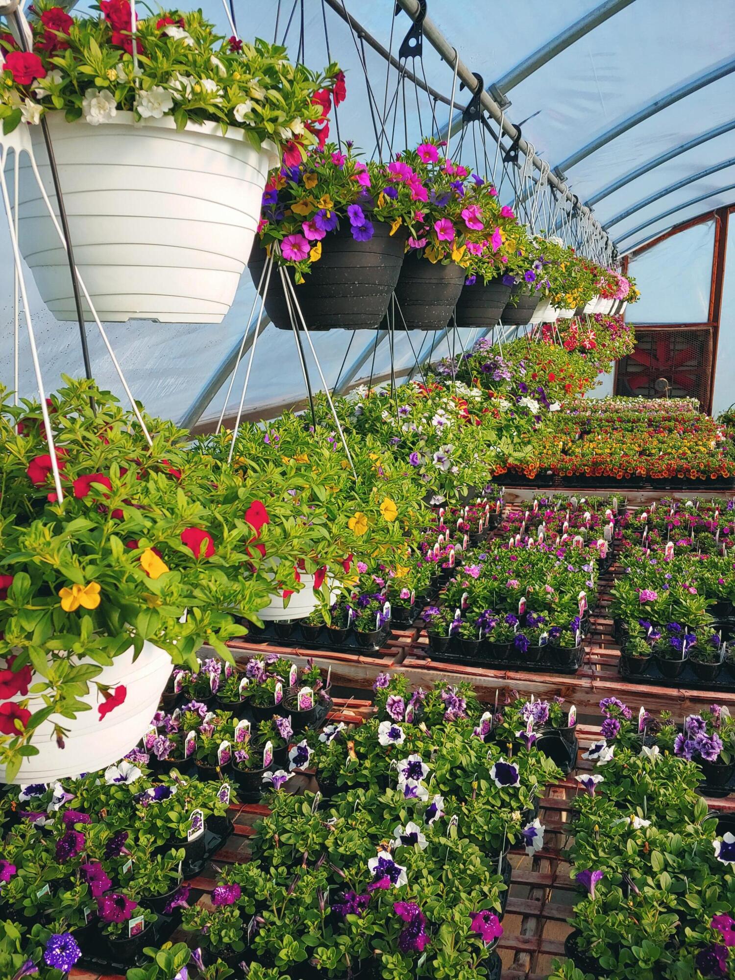 645 South Meridian Road Hudson, MI 49247 - Photo 62 of 67 0427230843c_HDR