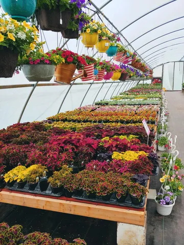 $500,000 | 645 South Meridian Road, Hudson, MI 49247