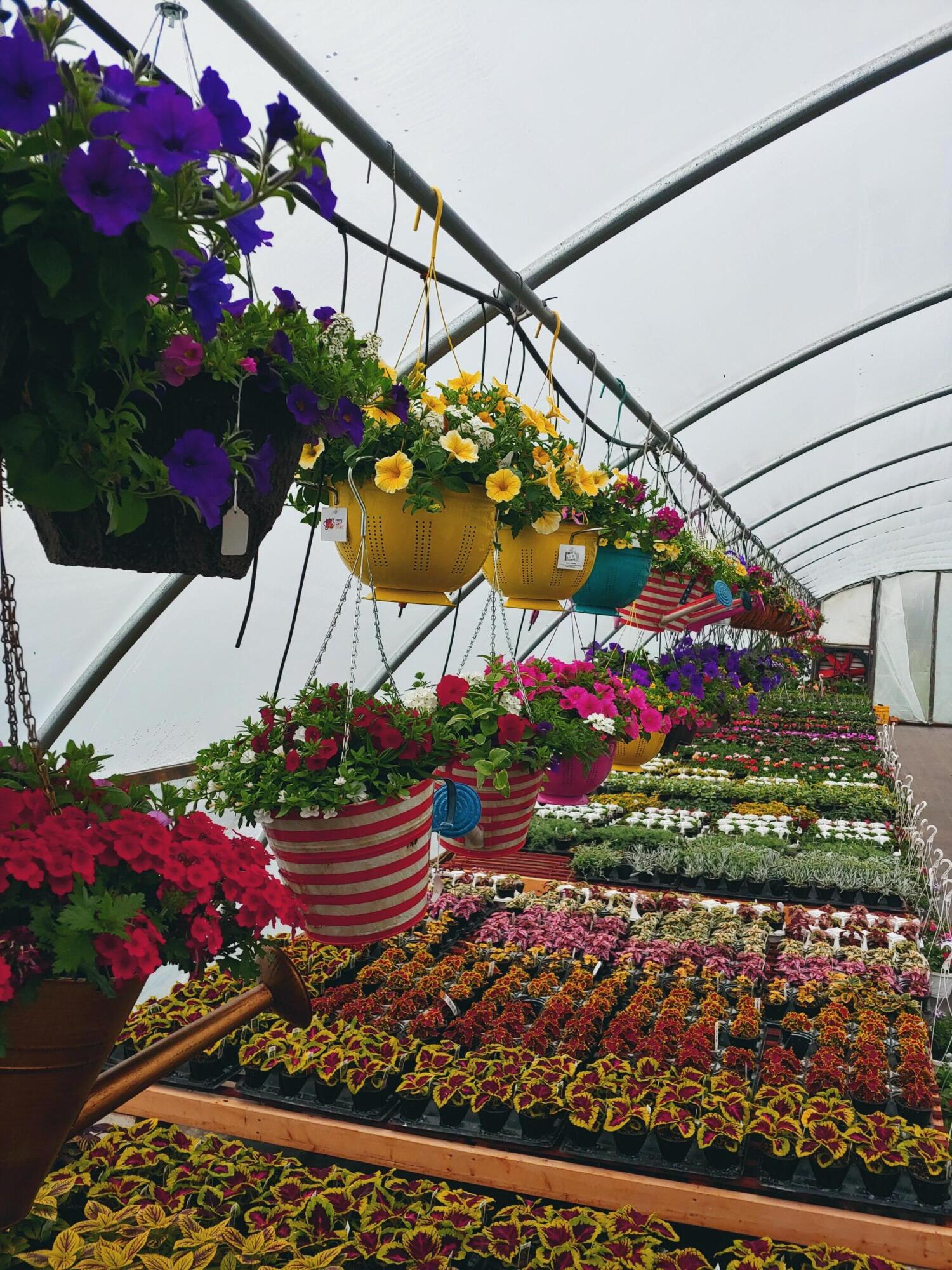 645 South Meridian Road Hudson, MI 49247 - Photo 65 of 67 0502221534c