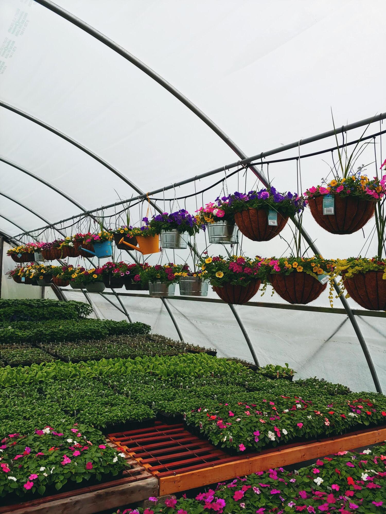 645 South Meridian Road Hudson, MI 49247 - Photo 66 of 67 0502221535b