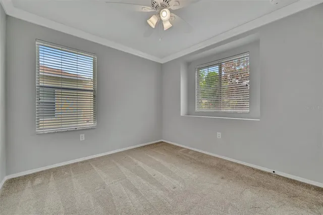 a view of a yard with potted plants