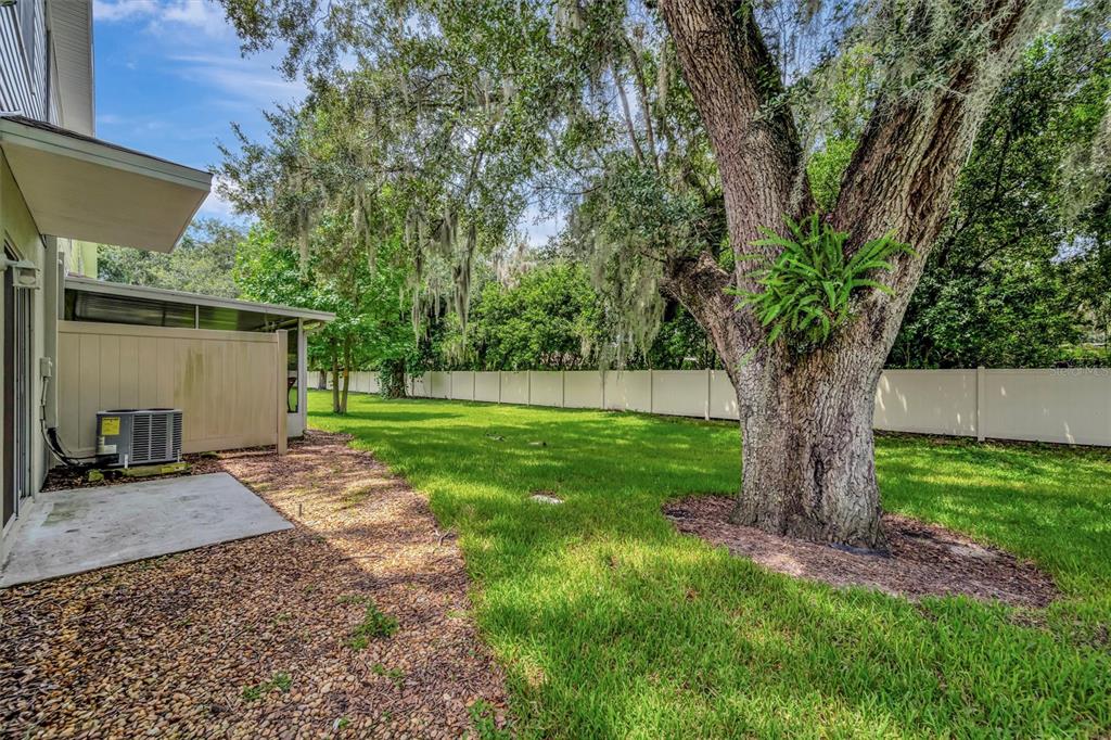 2928 Royal Tuscan Lane Valrico, FL 33594 - Photo 58 of 62 a view of a backyard with large tree