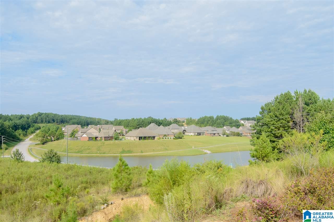 1077 Evan Circle Chelsea, AL 35043 - Photo 49 of 49
