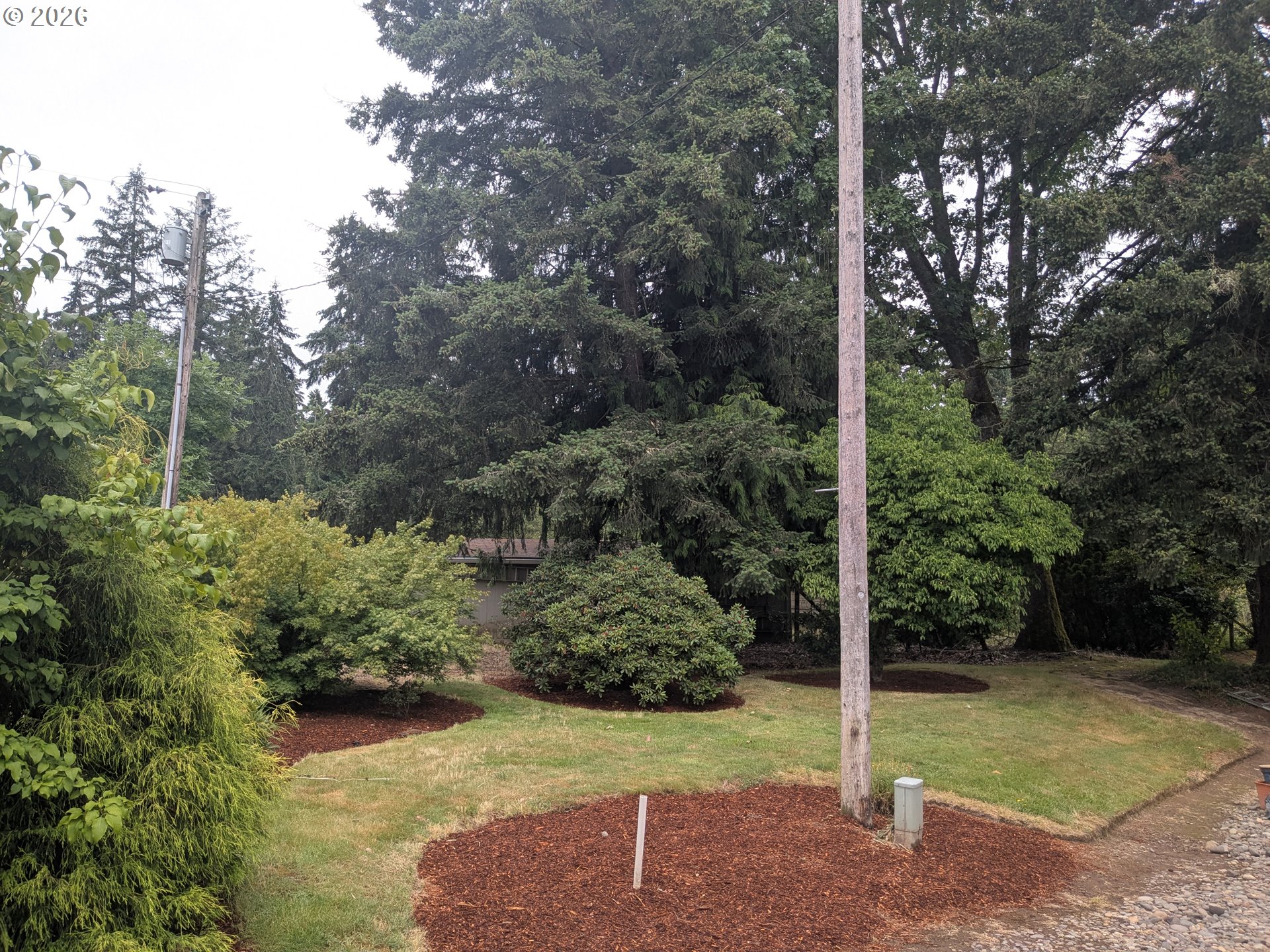 15341 South Hattan Road Oregon City, OR 97045 - Photo 7 of 41 Yard