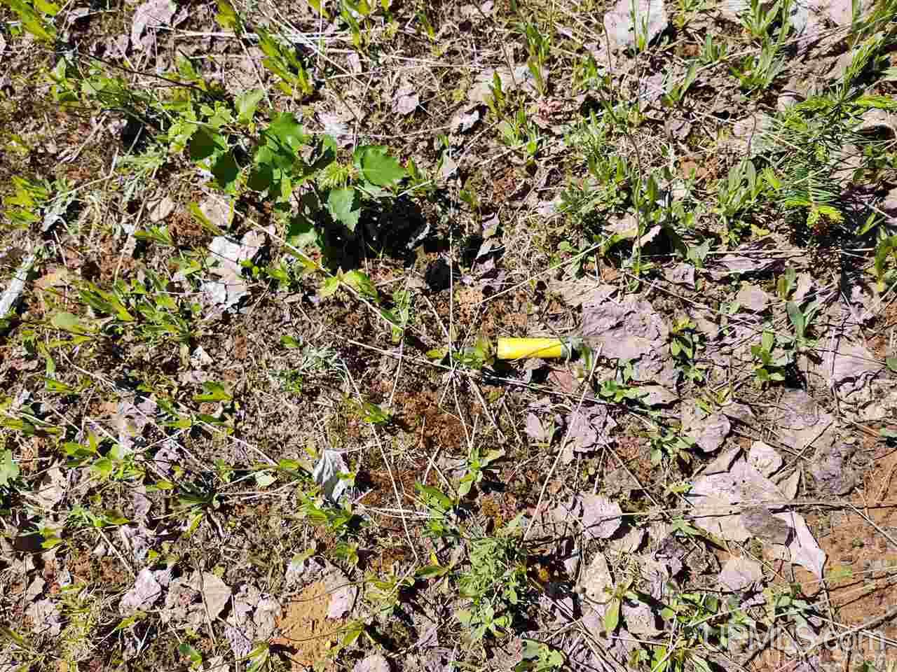 Tbd Co Rd Fp Republic, MI 49879 - Photo 21 of 33