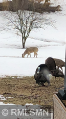 4391 Bridgewater Road South Haven, MN 55382 - Photo 11 of 45