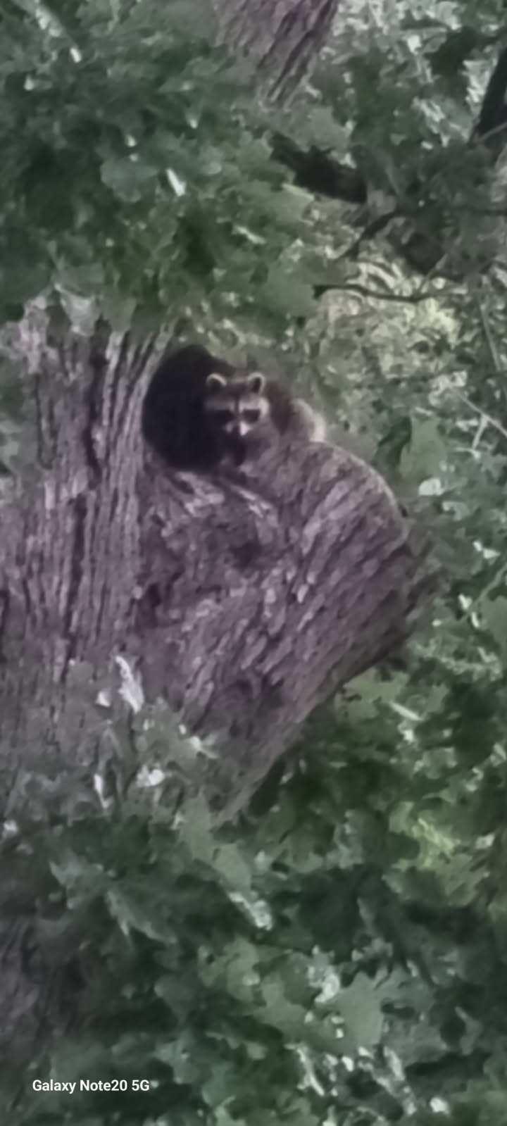 4391 Bridgewater Road South Haven, MN 55382 - Photo 40 of 45