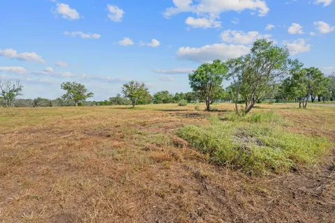 a view of field with large trees