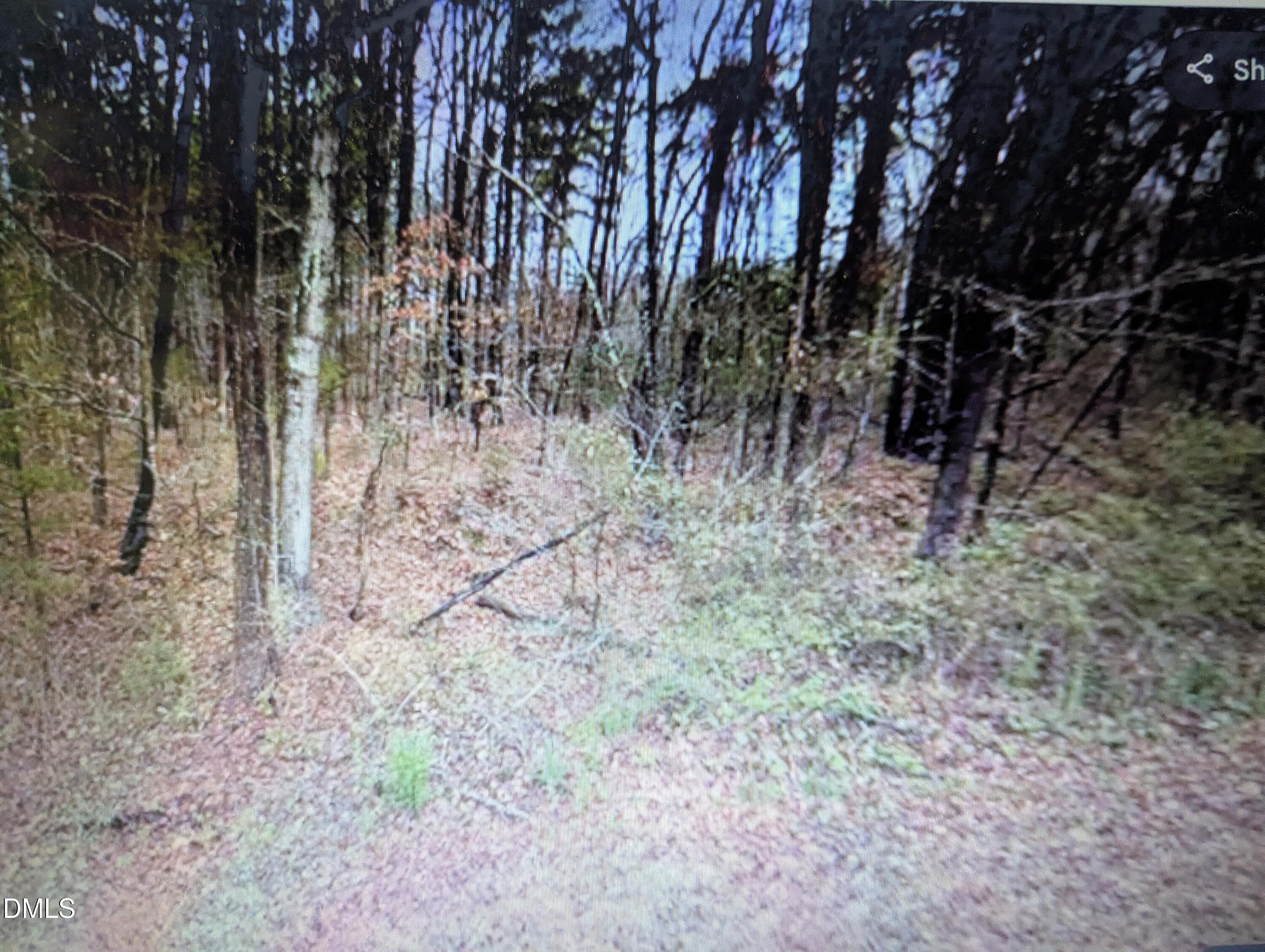 9195 State Highway 49 Roxboro, NC 27574 - Photo 4 of 4 4_beyc69e27c8c25501