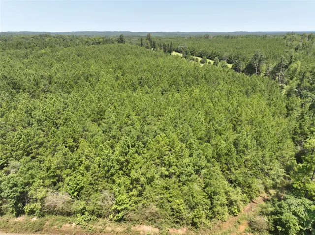 $181,500 | 2 West Carters Ferry Road, Milam, TX 75959