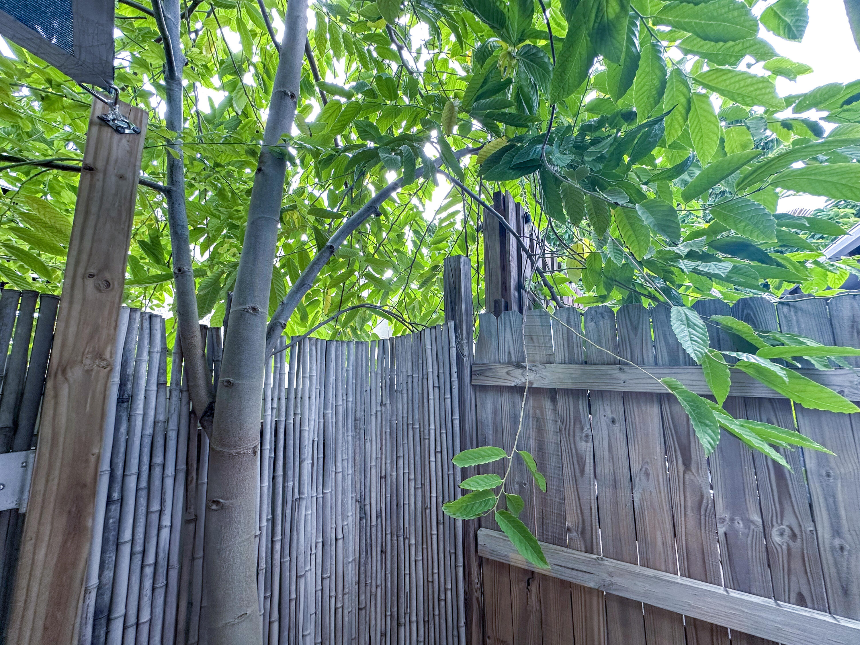 1004 Watson Street, Unit 2 Key West, FL 33040 - Photo 22 of 23 1004 Watson #2