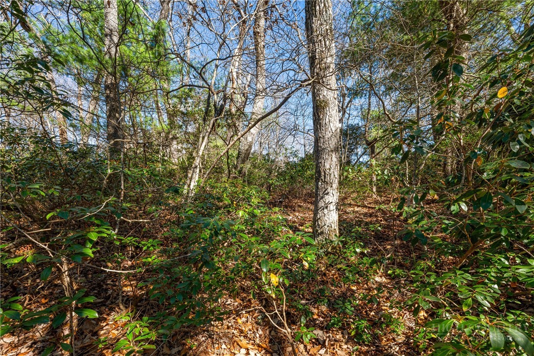 Lot 61 Boone Coffey Trail Boone, NC 28607 - Photo 9 of 22