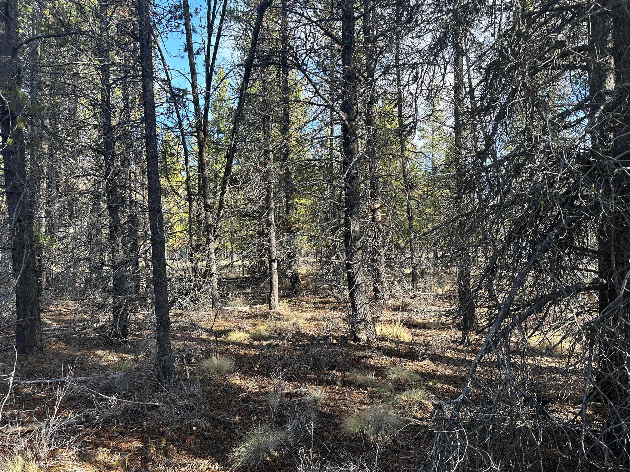 Split Rail Road, Unit 6100 La Pine, OR 97739 - Photo 10 of 28 IMG_0412