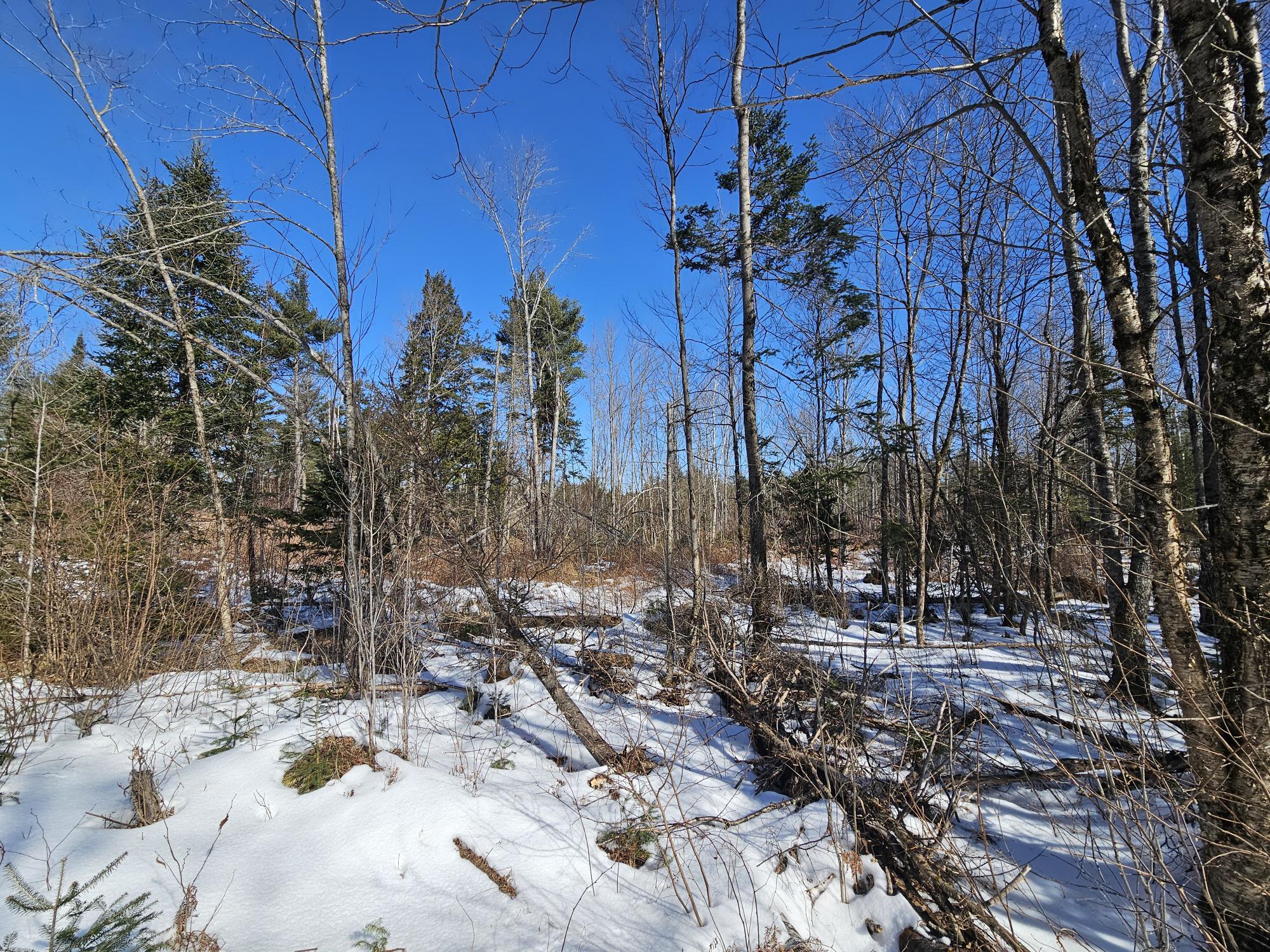 Lot 29-3 Basford Road Detroit, ME 04929 - Photo 12 of 26 Lot 3