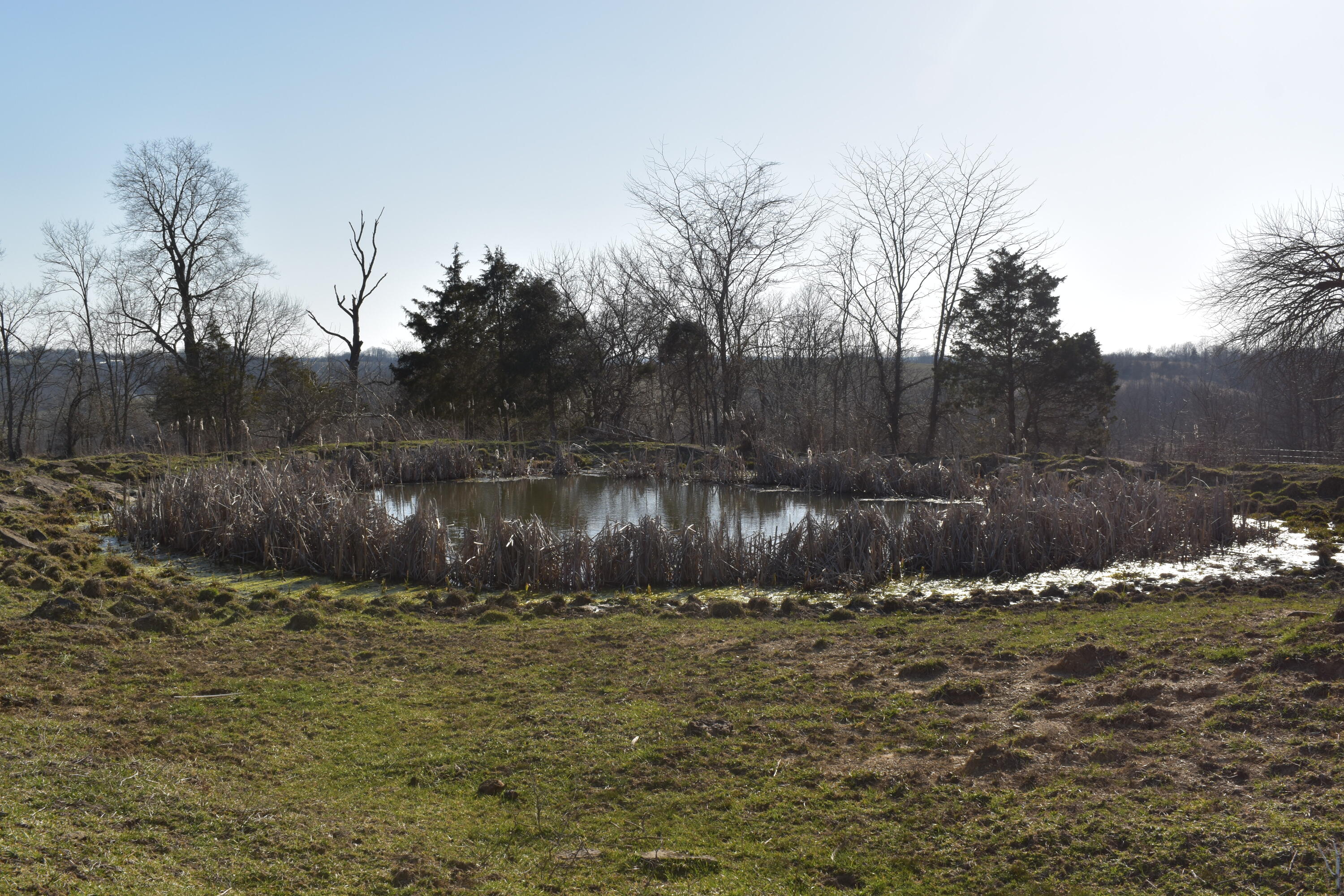 3036 Somerset Road Sharpsburg, KY 40374 - Photo 7 of 20 DSC_0498