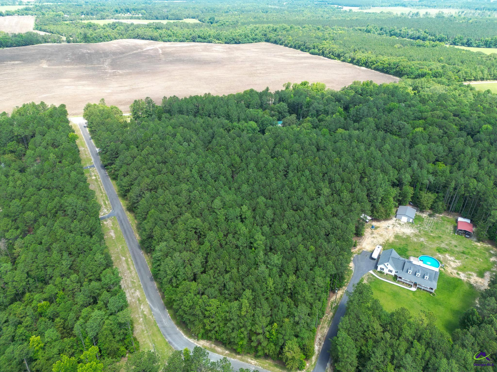 Lot 9 Cherokee Trail Road Eastman, GA 31023 - Photo 13 of 18