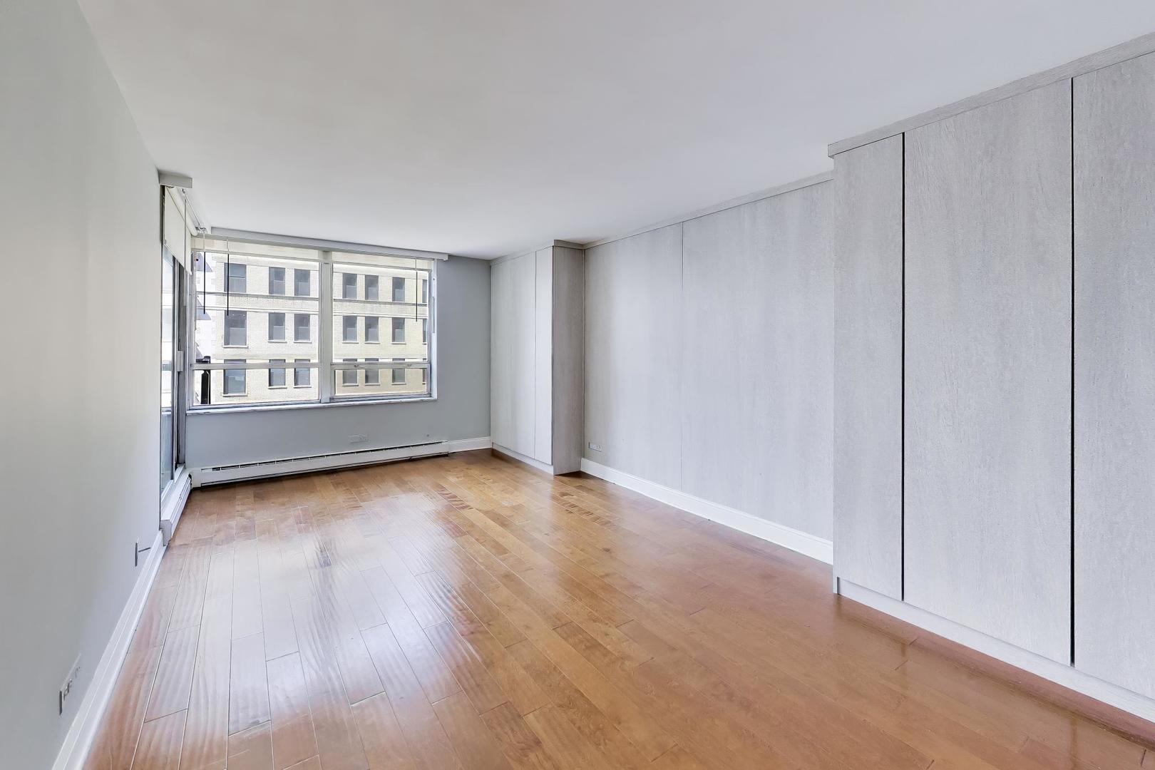 201 East Chestnut Street, Unit 14A Chicago, IL 60611 - Photo 11 of 29