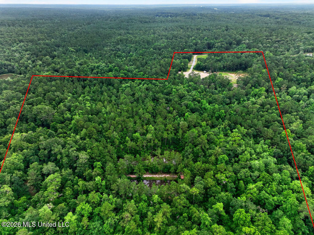94 Desoto Road McHenry, MS 39561 - Photo 10 of 37 94DesotoRd.S-9