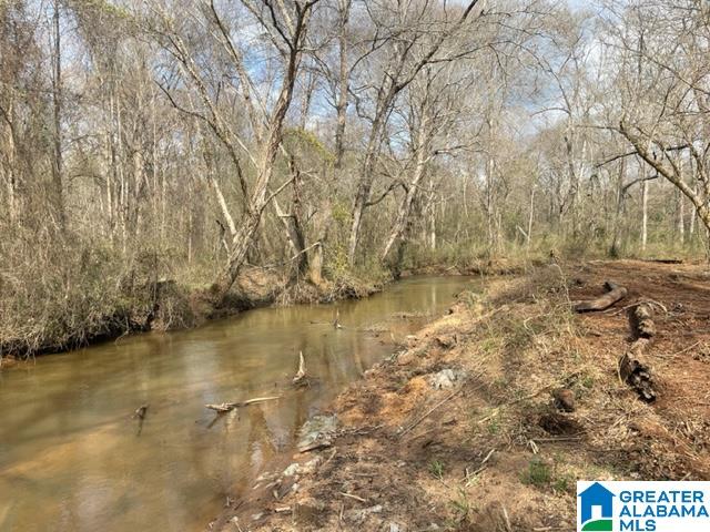 0 County Road 158, Unit 1 Lafayette, AL 36862 - Photo 3 of 19