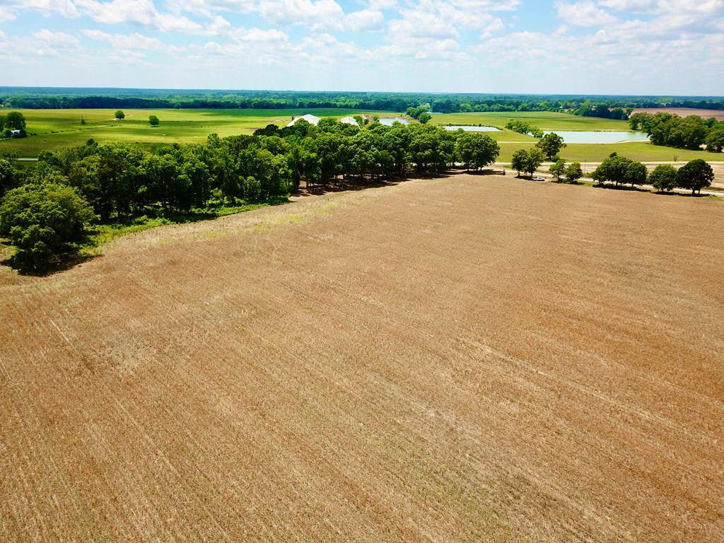 92 County Road 92 Slocomb, AL 36375 - Photo 21 of 58