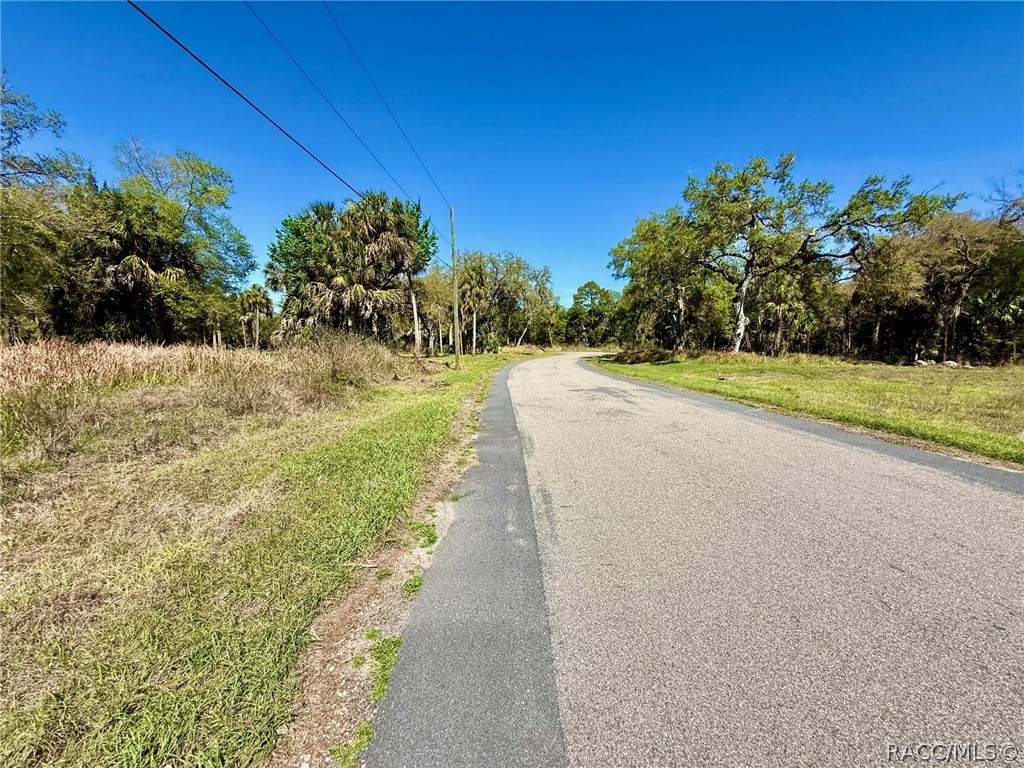 11120 North River Walk Point Inglis, FL 34449 - Photo 5 of 11 a view of a yard with an empty space