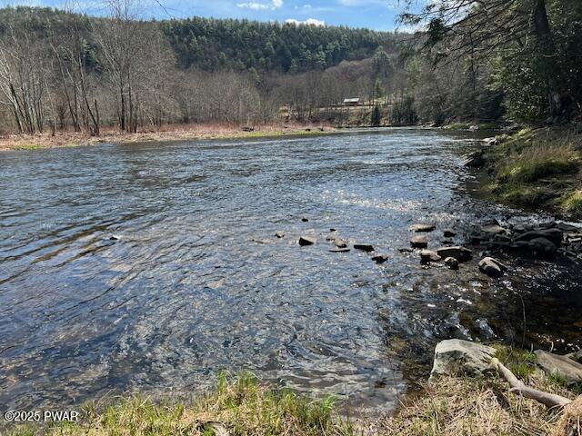 241 Lcpl Jacob Beisel Road Lackawaxen, PA 18435 - Photo 26 of 78 Addional river view