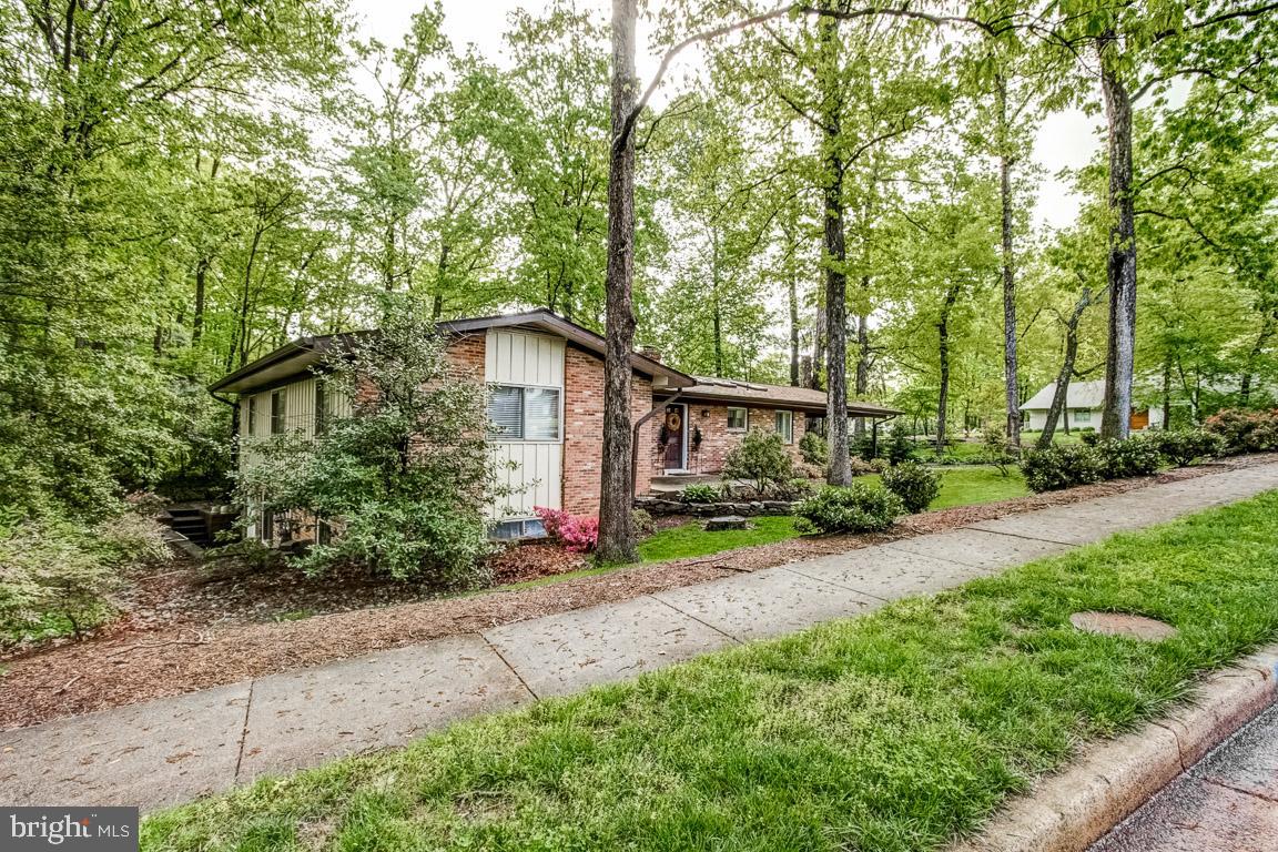 11241 South Shore Road Reston, VA 20190 - Photo 31 of 34 View from street coming up from Lake Anne access!