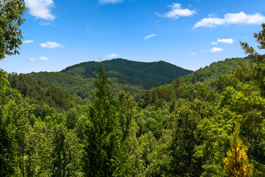 933 Cashes Valley Road Cherry Log, GA 30522 - Photo 41 of 44