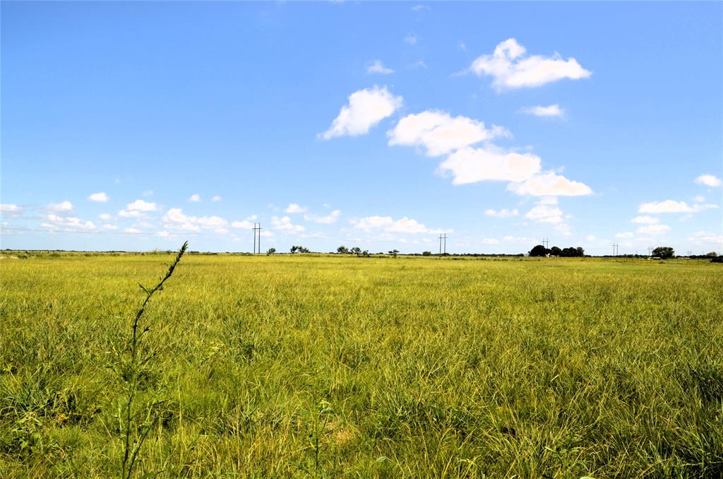 0 Tarlton Road Mabank, TX 75147 - Photo 8 of 13