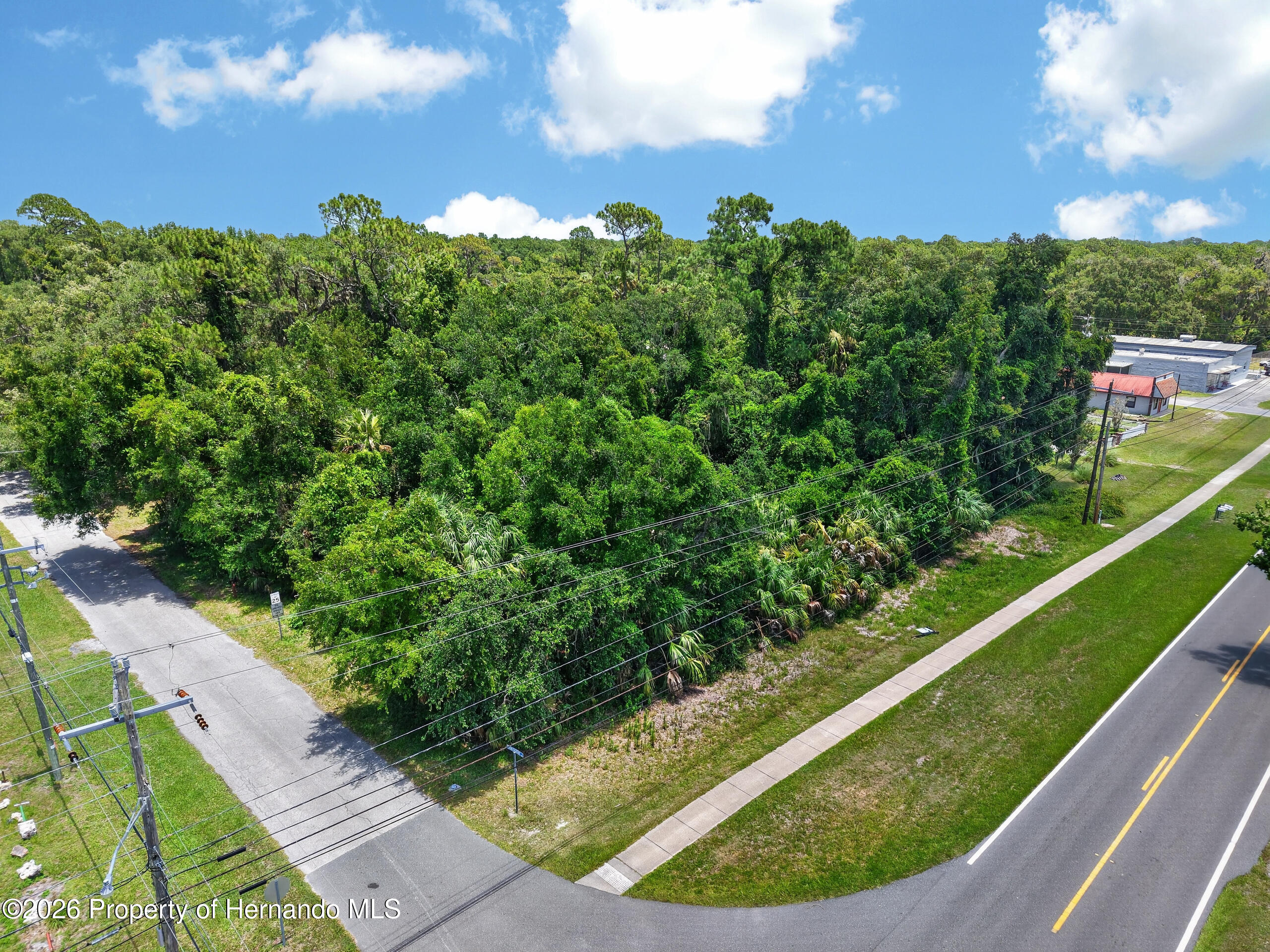 0 Highway 40 West Inglis, FL 34449 - Photo 5 of 8 a view of a yard with a swimming pool