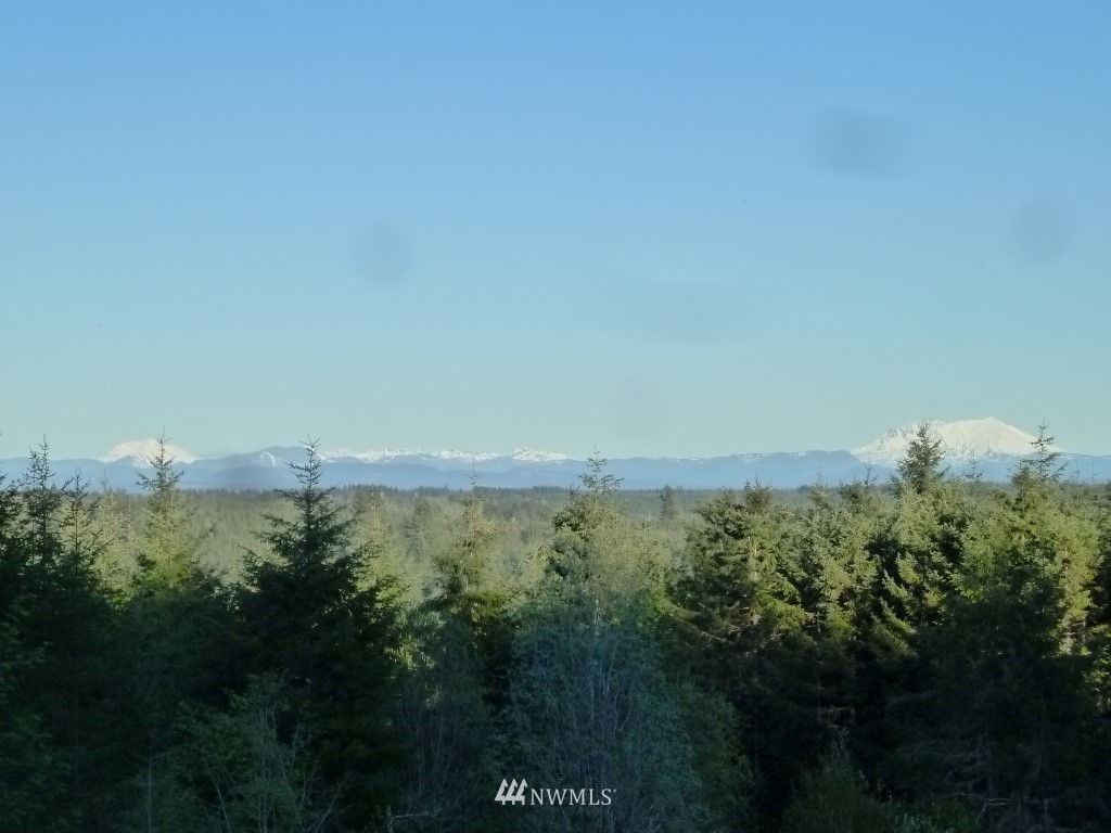 990 Brown Road West Chehalis, WA 98532 - Photo 2 of 10