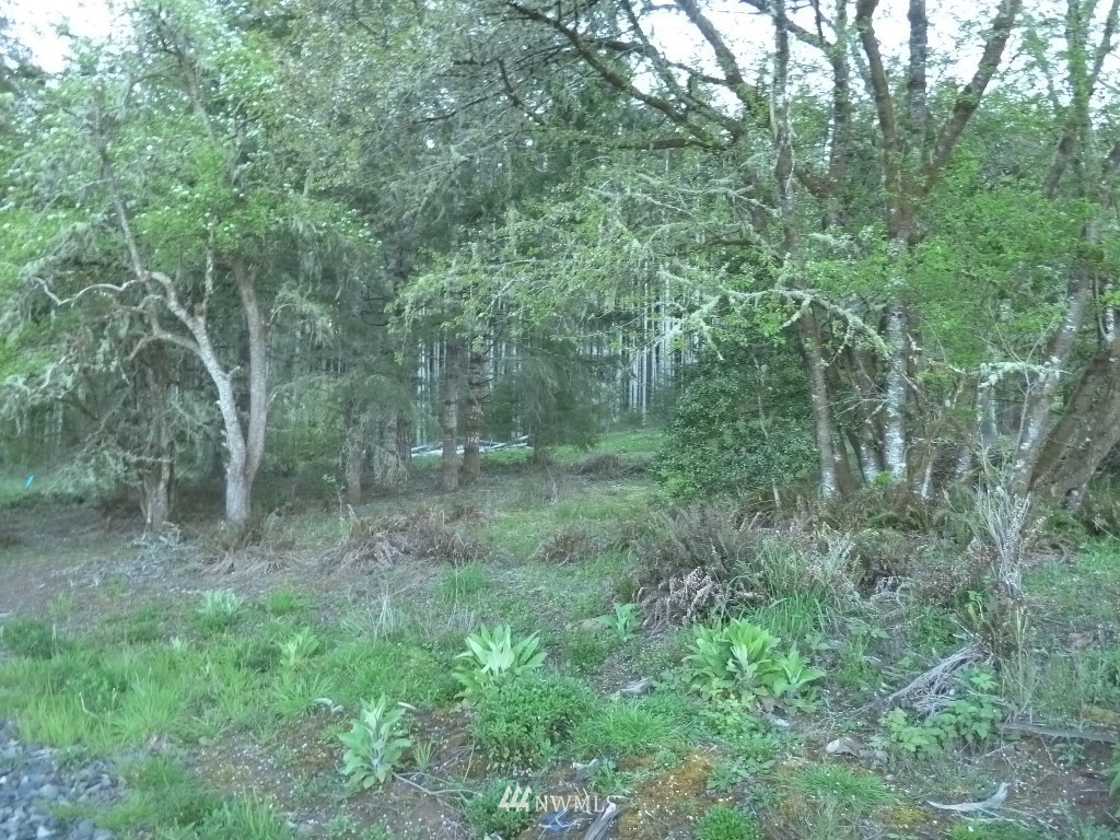 990 Brown Road West Chehalis, WA 98532 - Photo 4 of 10