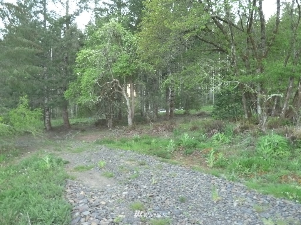990 Brown Road West Chehalis, WA 98532 - Photo 5 of 10