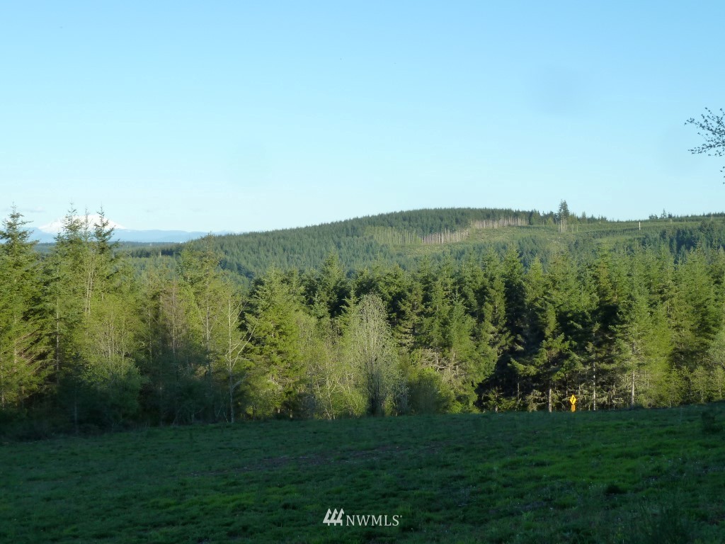 990 Brown Road West Chehalis, WA 98532 - Photo 7 of 10
