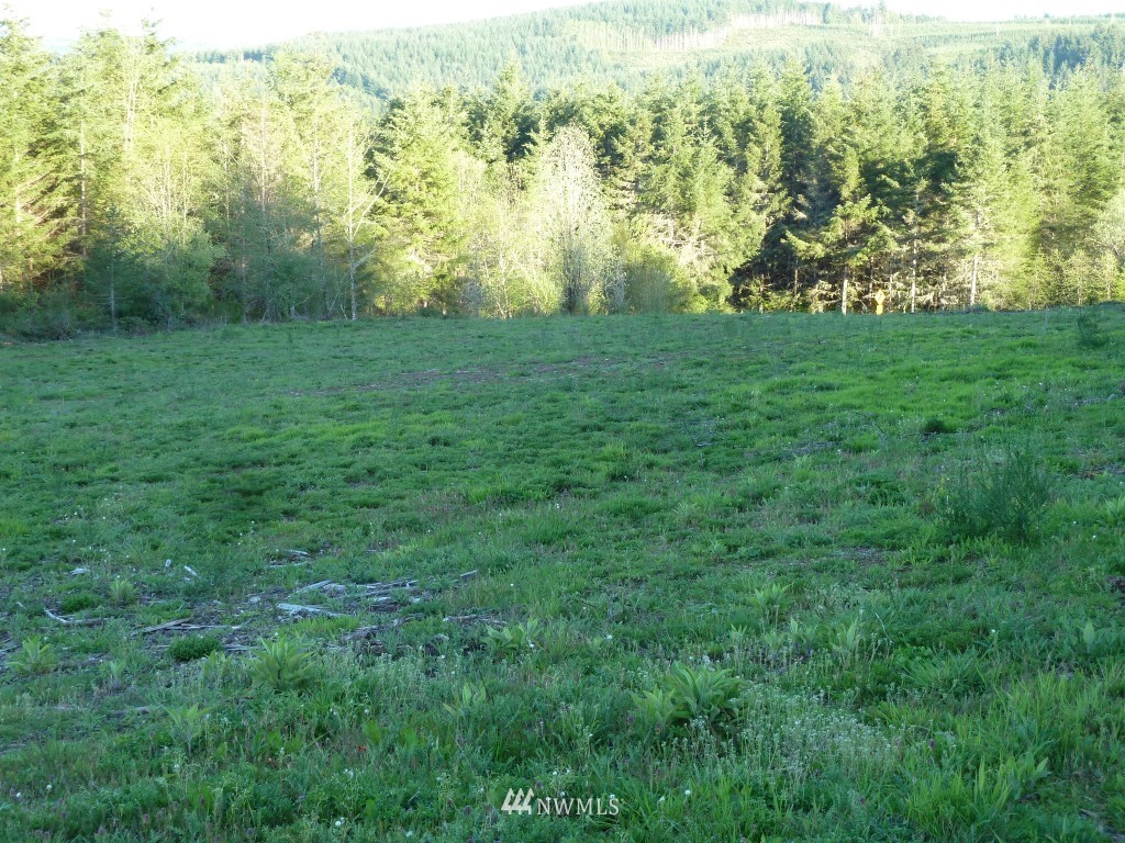 990 Brown Road West Chehalis, WA 98532 - Photo 8 of 10