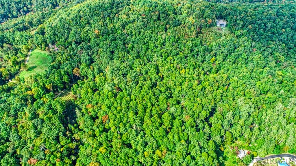 Off Jack Wilcox Road Highlands, NC 28741 - Photo 4 of 25 Gallery Image 4