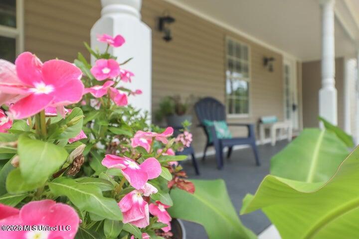 912 Maple Street Waveland, MS 39576 - Photo 3 of 11 Front