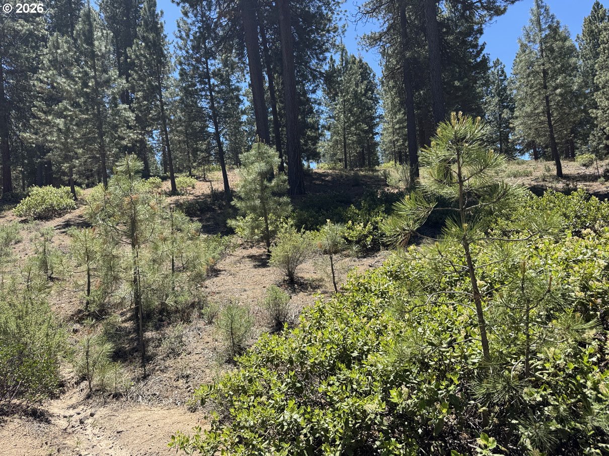 Incline Drive, Unit 22 Chiloquin, OR 97624 - Photo 15 of 19