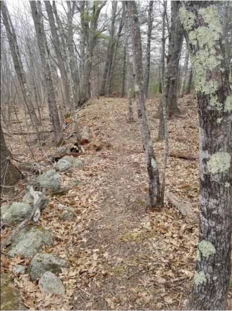 Lot 7 Ferry Road Lisbon, ME 04250 - Photo 6 of 8 Walking path to River